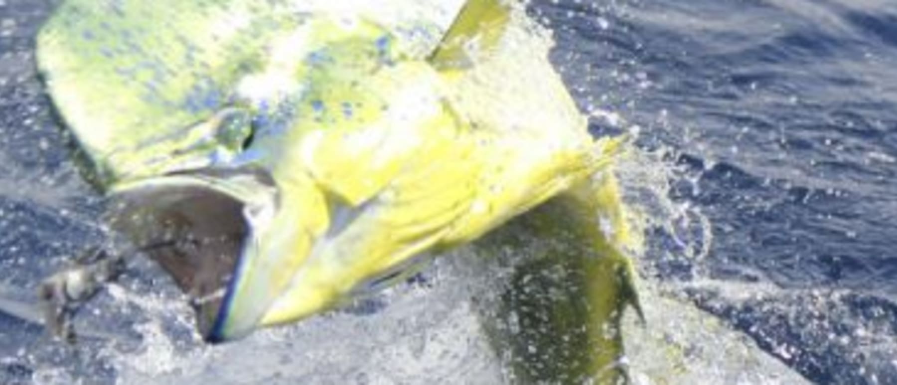 outfitter banner image