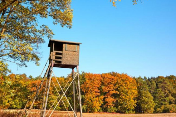 How to Set Up a Deer Hunting Blind: A Complete Guide