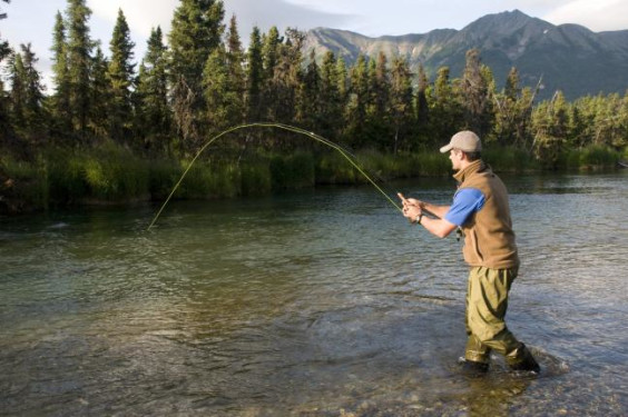 Salmon Catch in Alaska