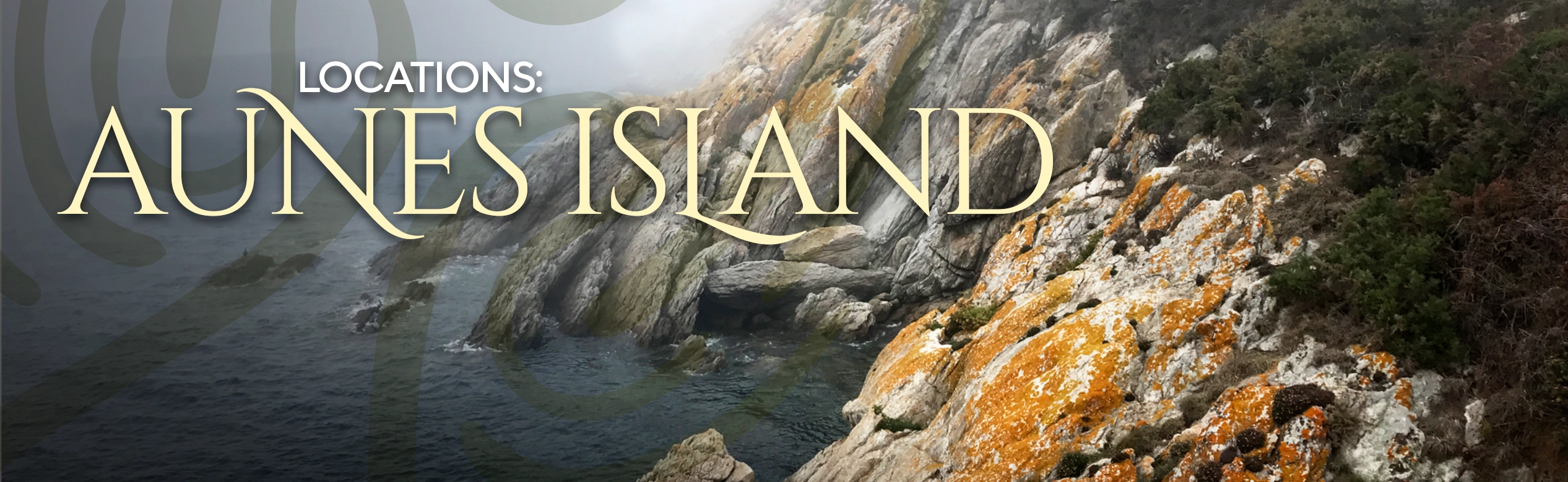 Elementos gráficos de The Waylanders