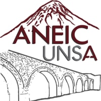 ANEIC UNSA