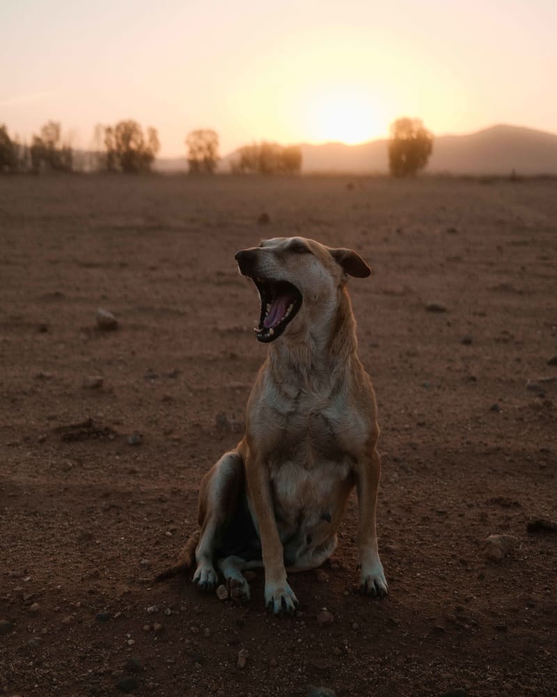 Travel by Joris Favraud — photo 23