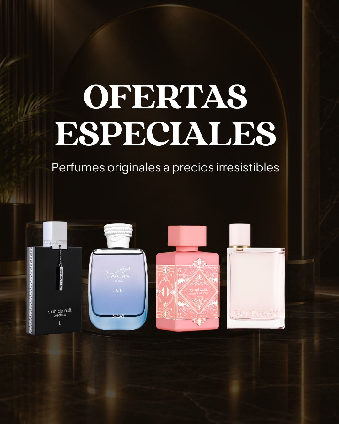 Ofertas🔥