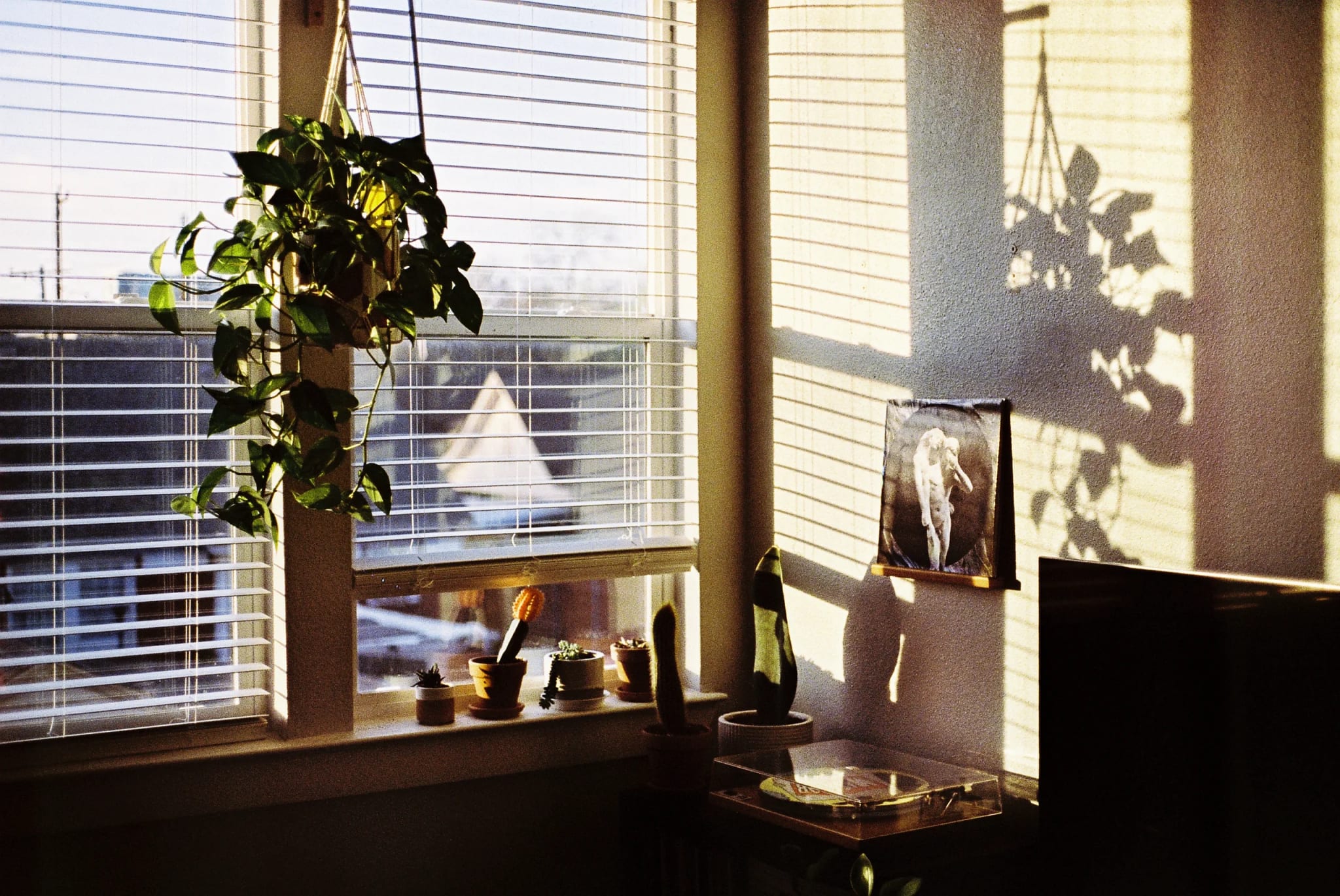 Warm sunlight through blinds illuminates a hanging plant, potted cacti on the sill, a framed print, and a record player.