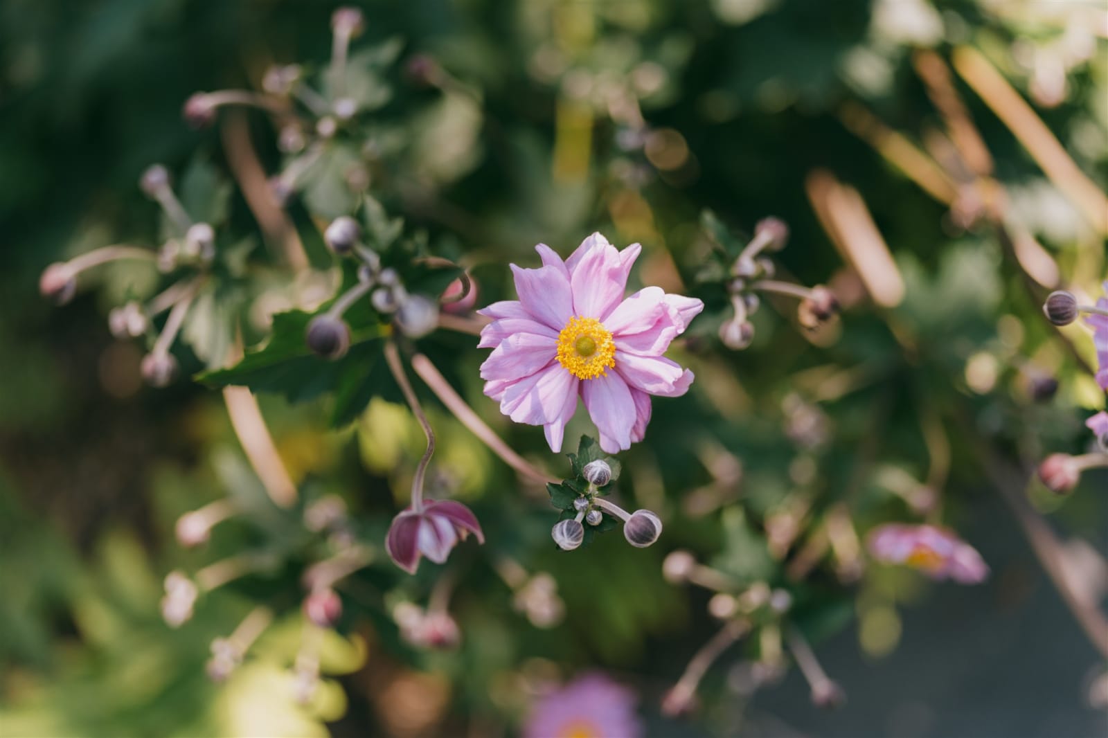 Best Wedding Florists in the Hudson Valley (A Photographer's Guide)