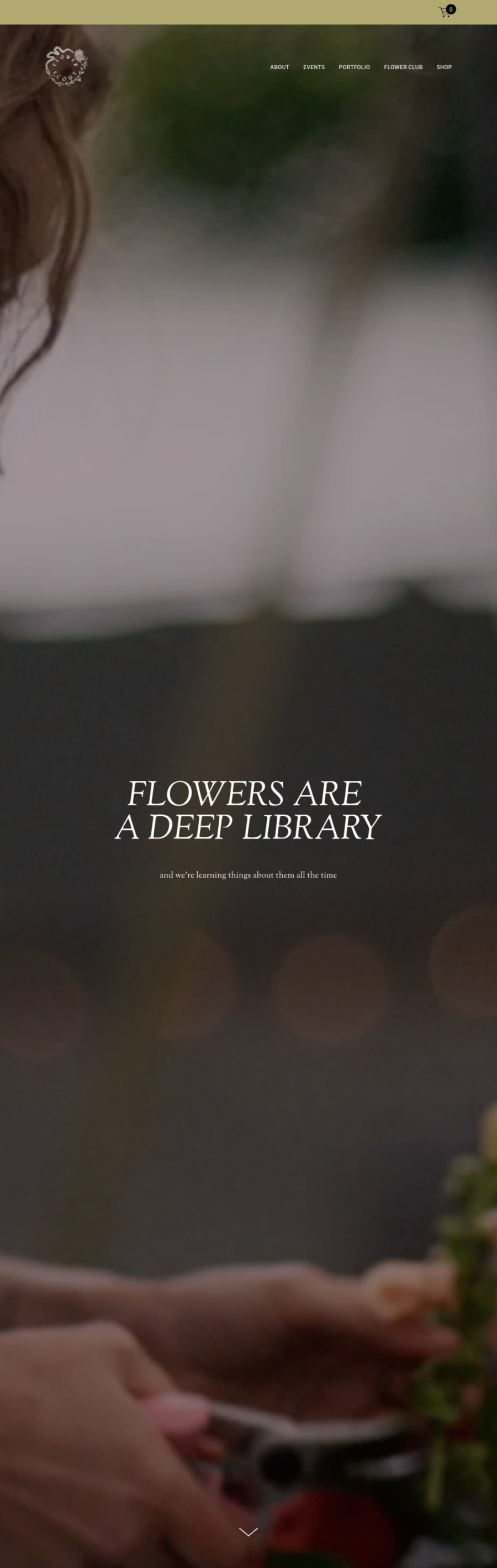 Full homepage screenshot of the Flower Scout website
