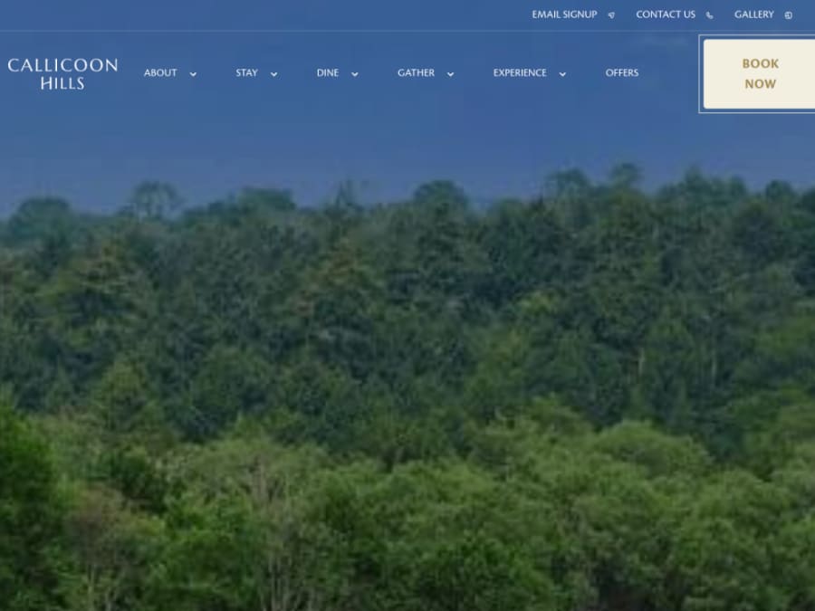 Full homepage screenshot of the Callicoon Hills website