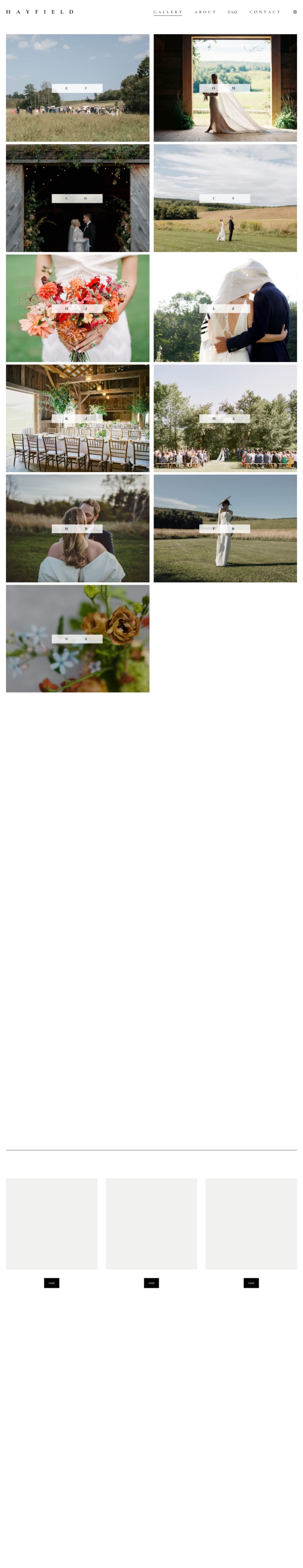 Full homepage screenshot of the Hayfield Catskills website