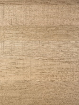 N15 nude