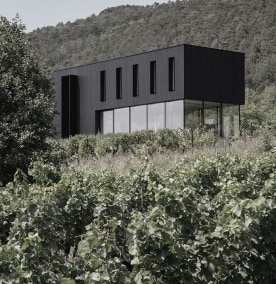 haus-avos-architektur-große-glasflächen