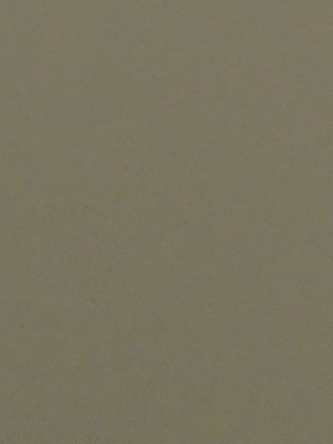 C31 Leichtbronze