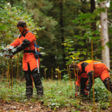 Holz aus nachhaltiger Forstwirtschaft