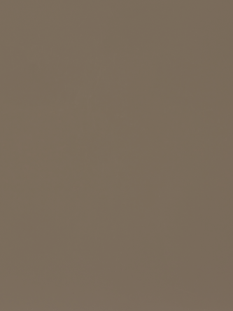 RAL 7006 Beigegrau