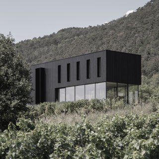 avos-schwarzes-haus-mit-glasfront-schoenes-design-josko