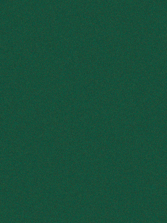 RAL 6005 Moosgrün