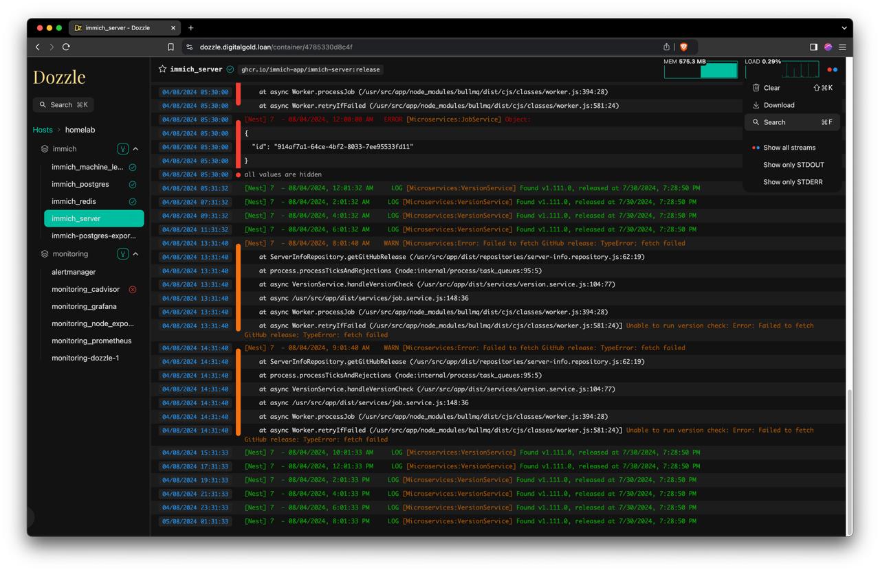 Immich server logs