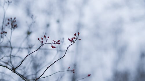 新的电视节目