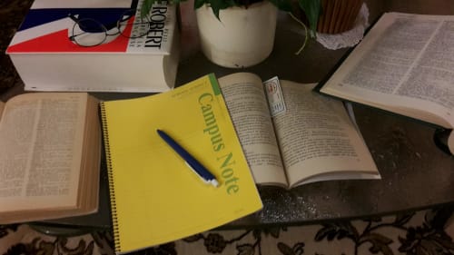 My Interests (part #4.1): Language Learning