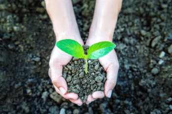 Why sustainability should be part of your PR