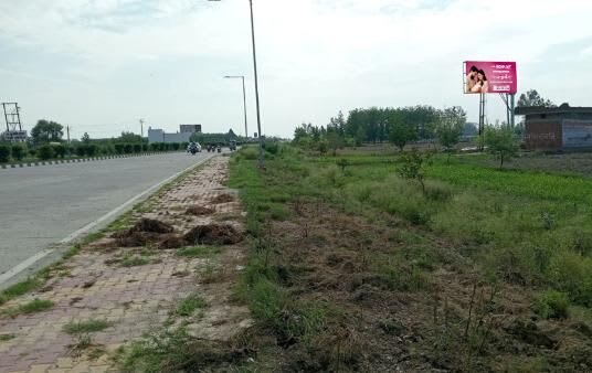 Unipole at Impact College, Bilaspur Rampur Rd, Bilaspur photo 1
