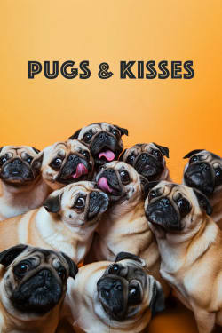 Pugs Kisses Dog card