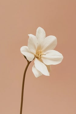 Flower Card