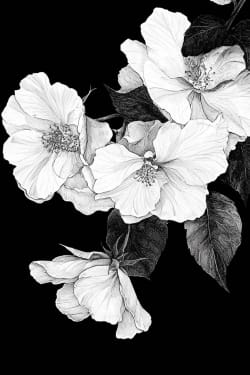 Flowers Card