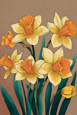 Pen Drawn Daffodils Card