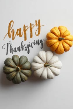 Thanksgiving Three Pumpkins Card