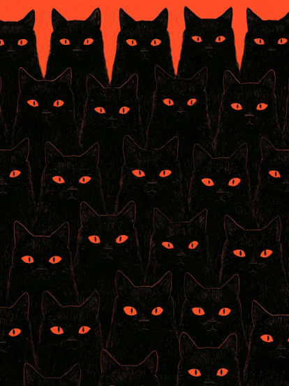 Halloween Card With Spooky Black Cats – card cover design