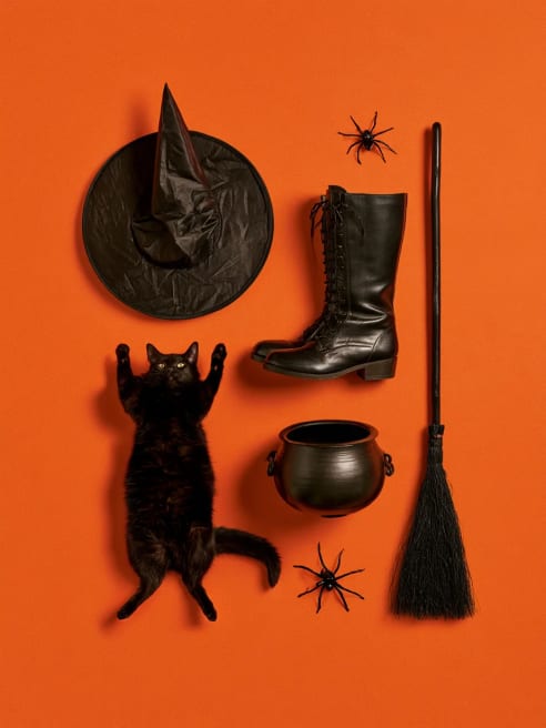 Halloween Card Witches Gear