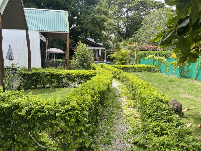 Sendero de piedra entre setos recortados en los jardines de Villas Cabuya