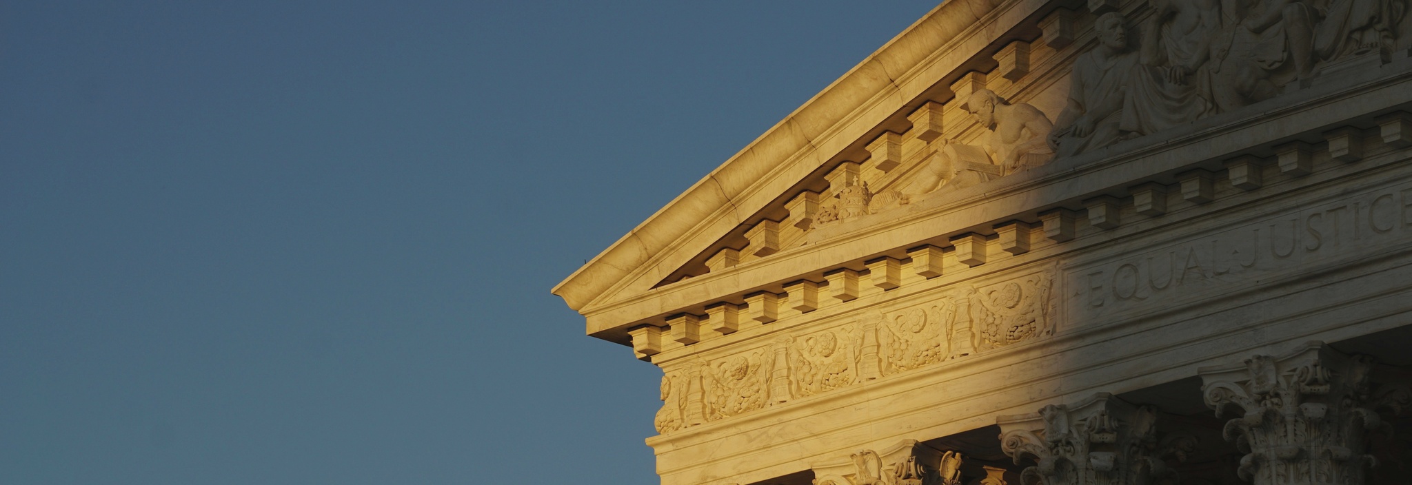 Constitutional Litigation — David & Stephens LLP