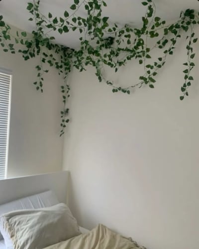 Affordable Room Decorations & Makeovers โ photo 1 of 5