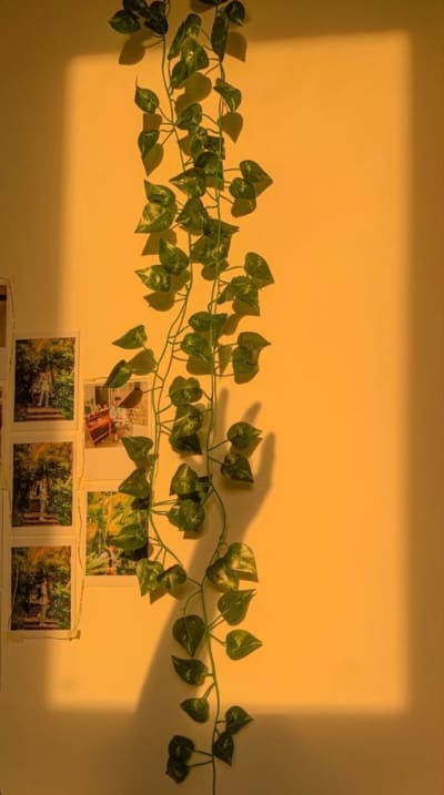 Room decors — photo 4 of 5