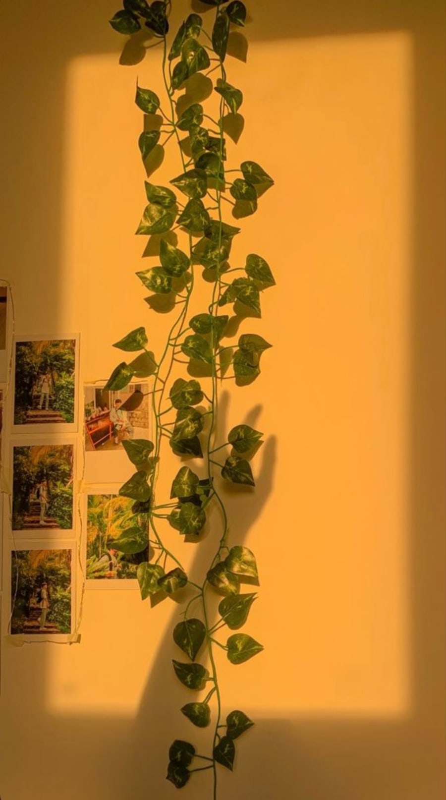 Room decors — image 4