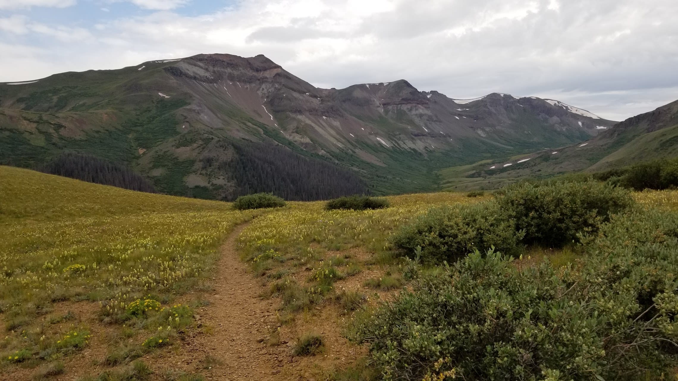 The Colorado Trail leading into a mountainous valley of yellow wildflowers