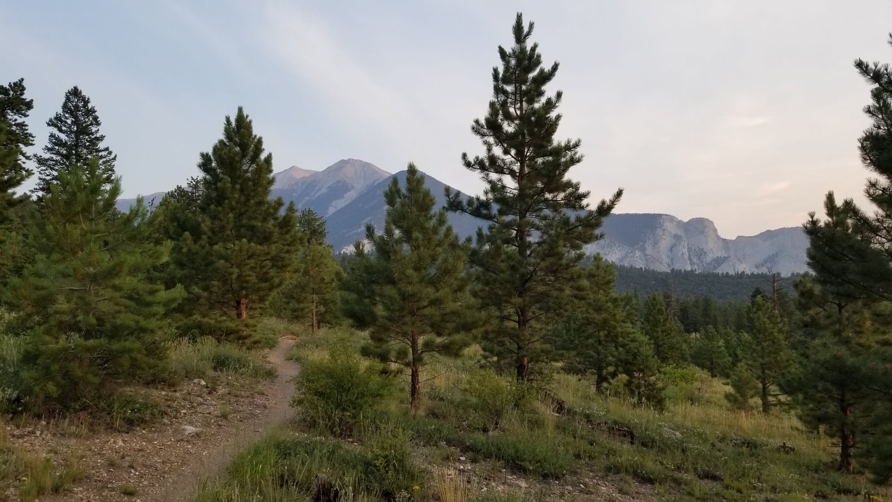Sunrise over mountains and pine trees near Buena Vista, CO
