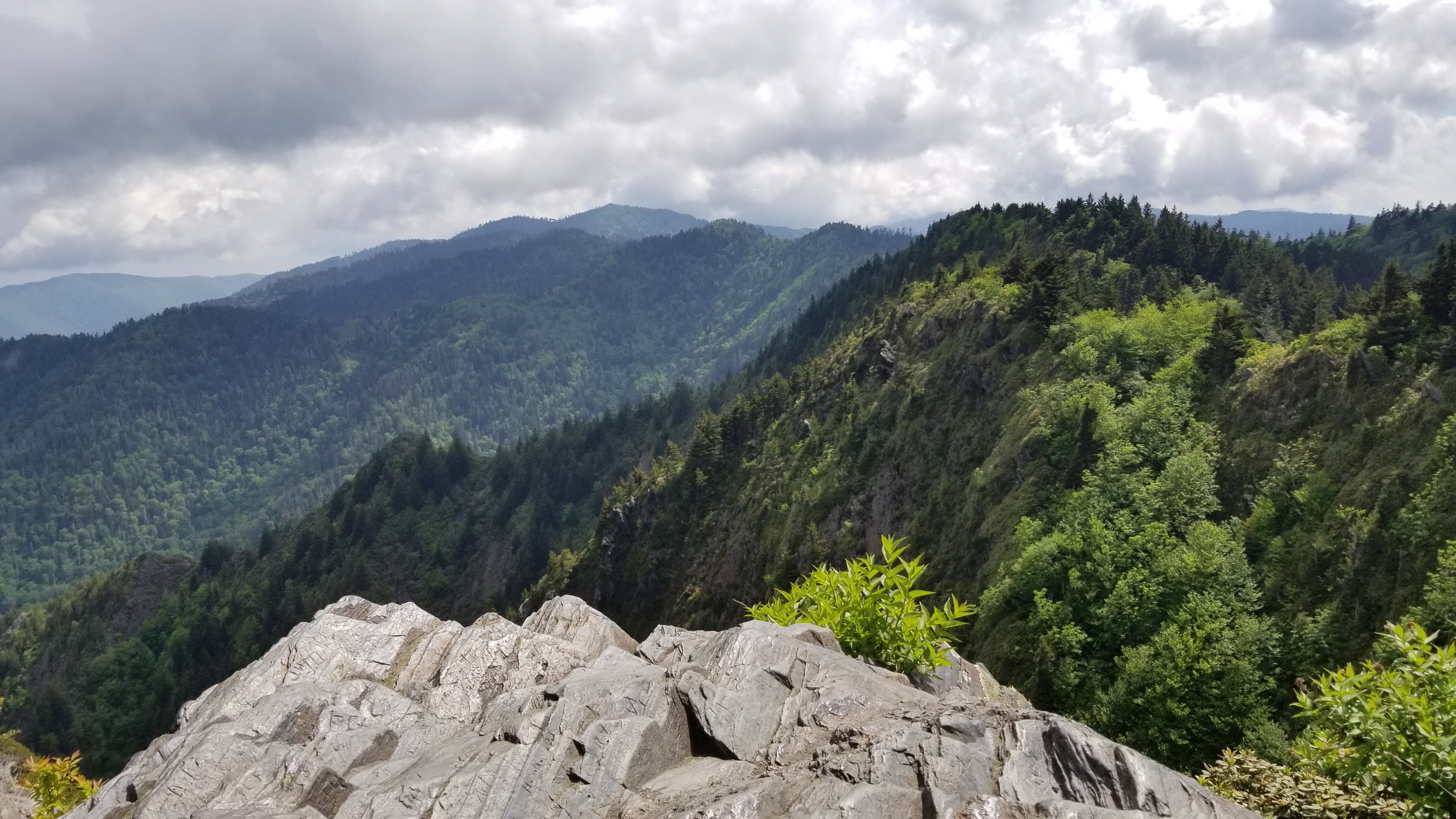Charlies Bunion view