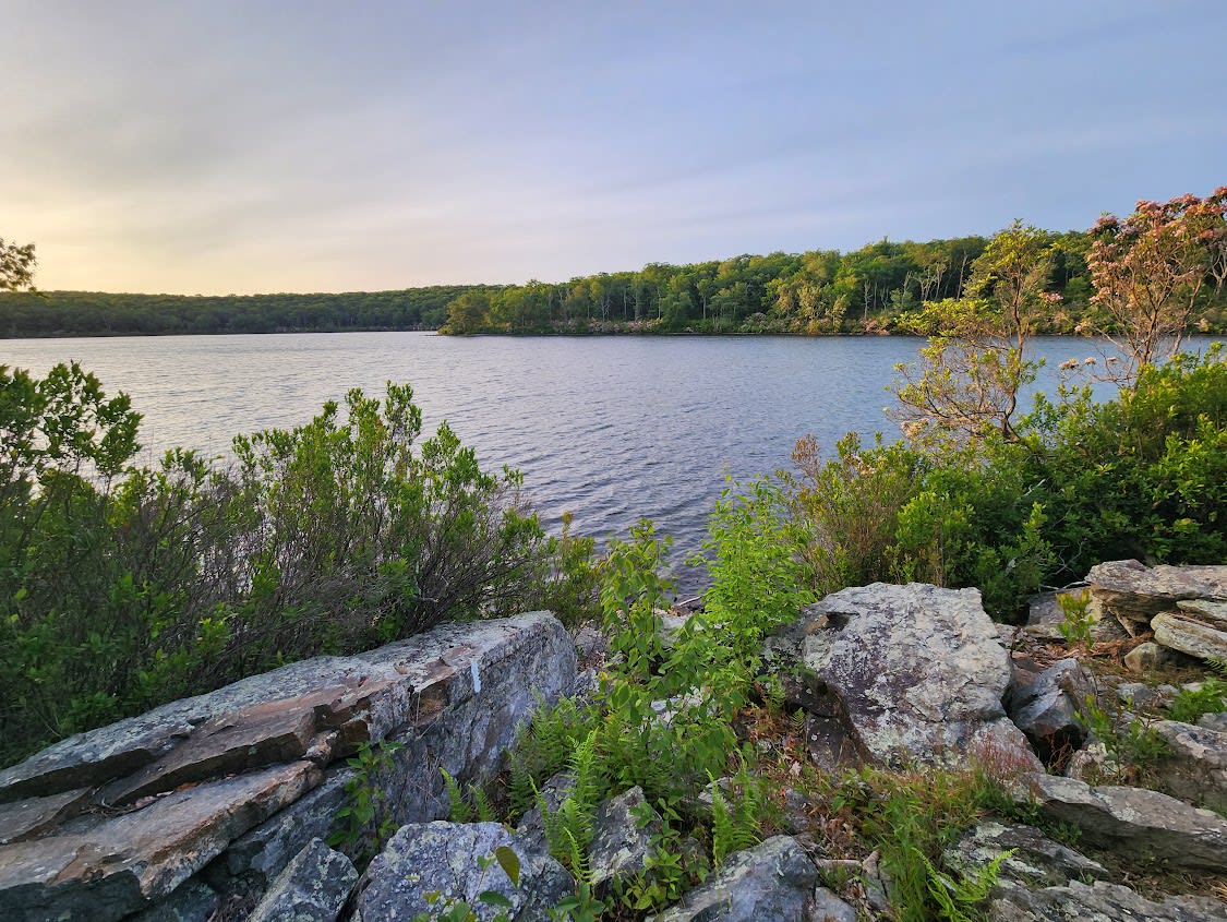 Sunrise over Sunfish Pond in Worthington State Forest
