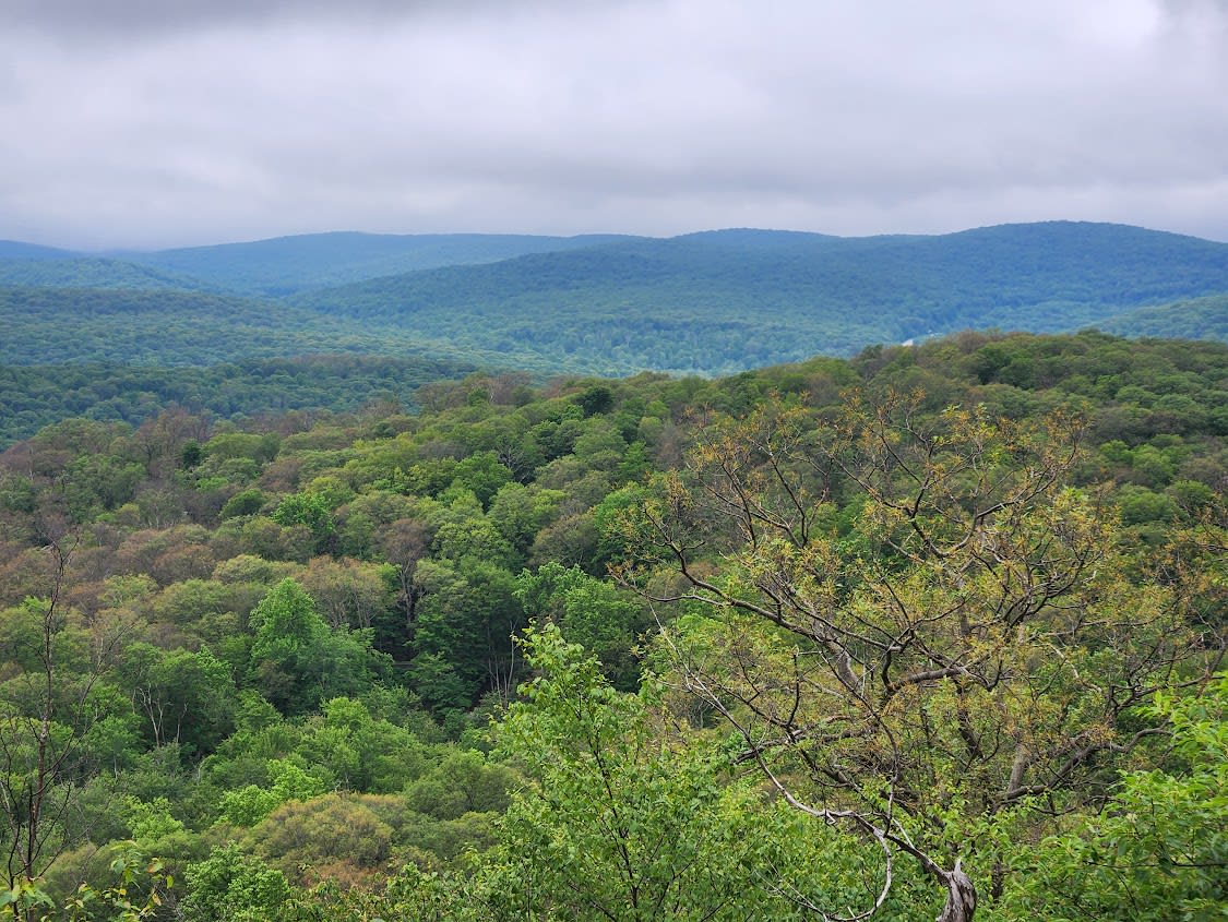 View from Bear Mountain