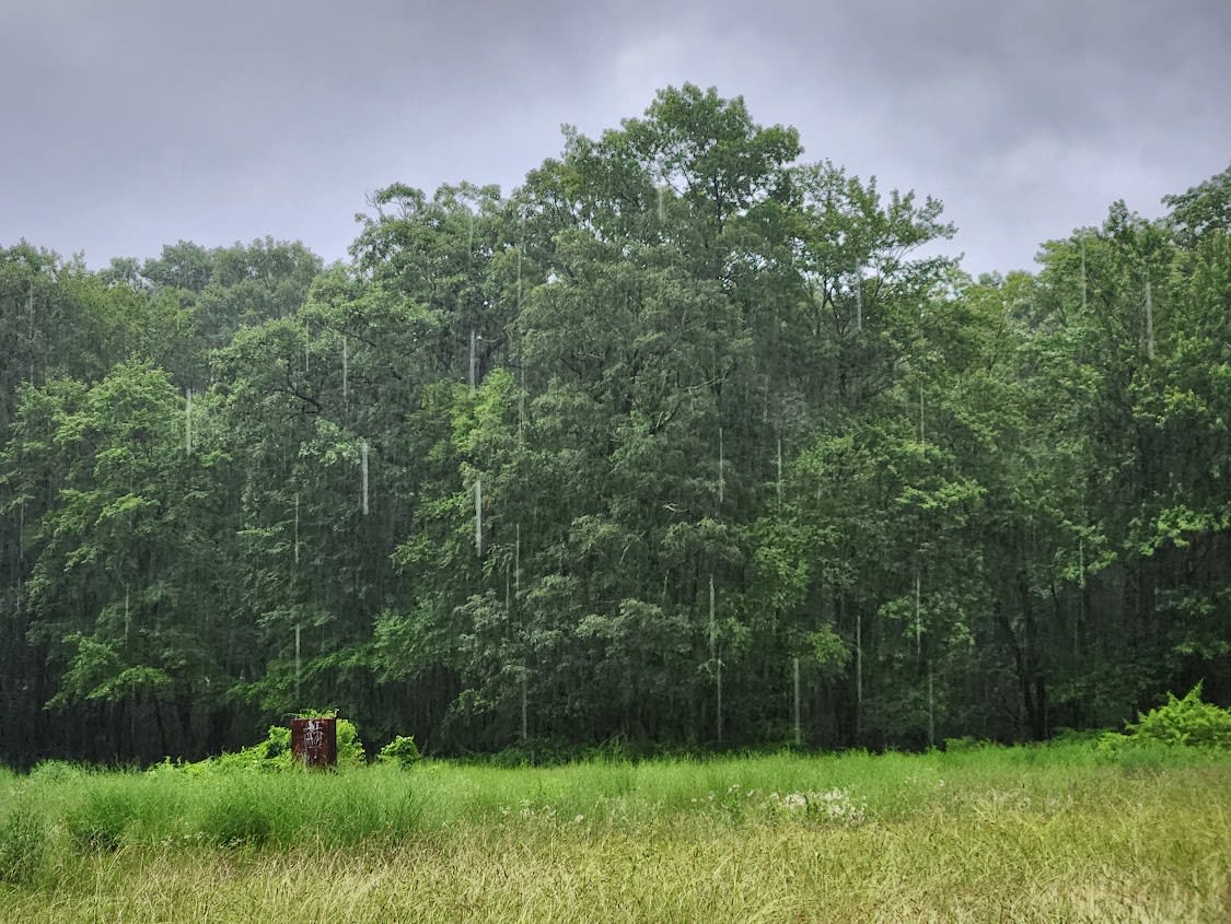 Thunderstorm near Canopus Lake Beach Shelter