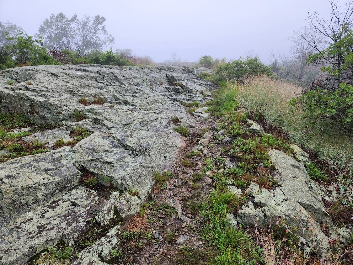 Slippery, lichen covered rocks