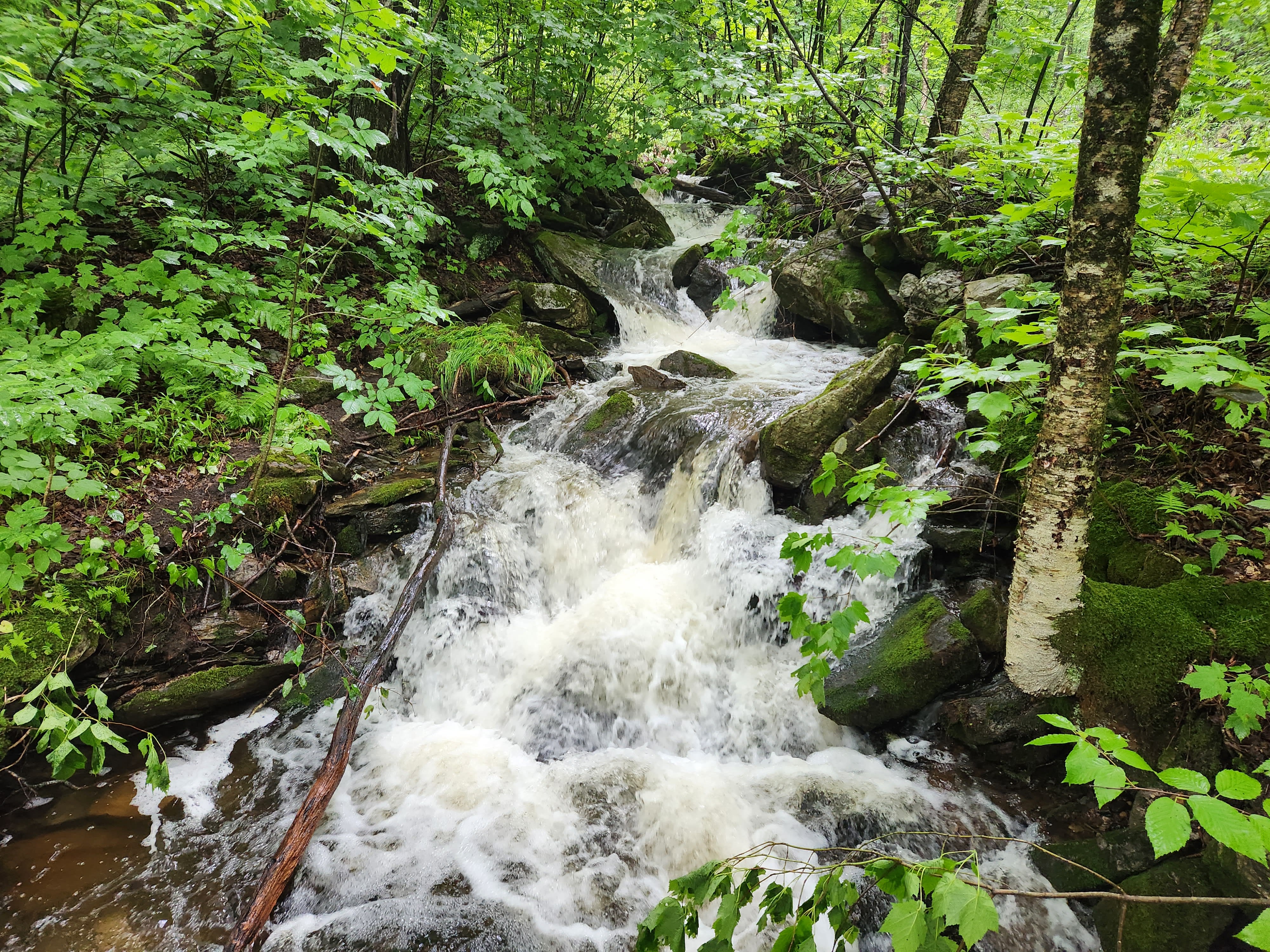 Fast moving water across the Appalachian Trail in Vermont