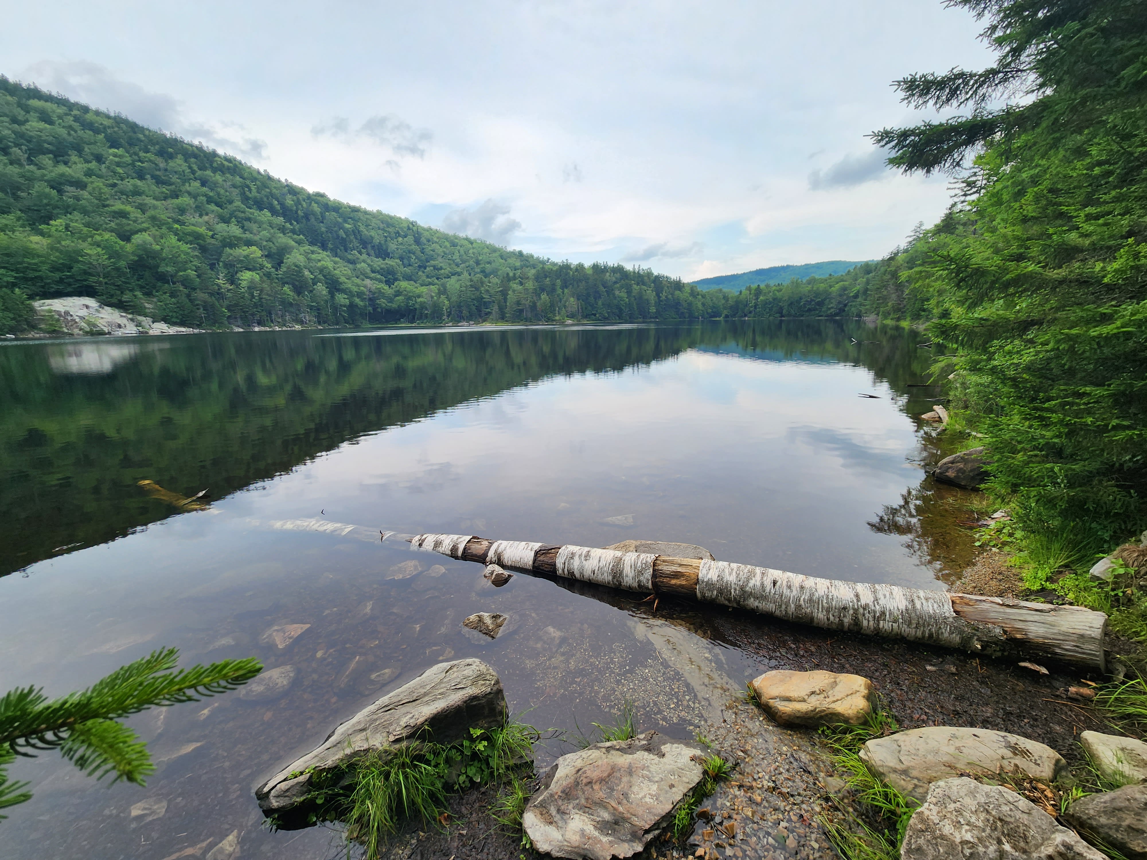 Submerged log in Little Rock Pond