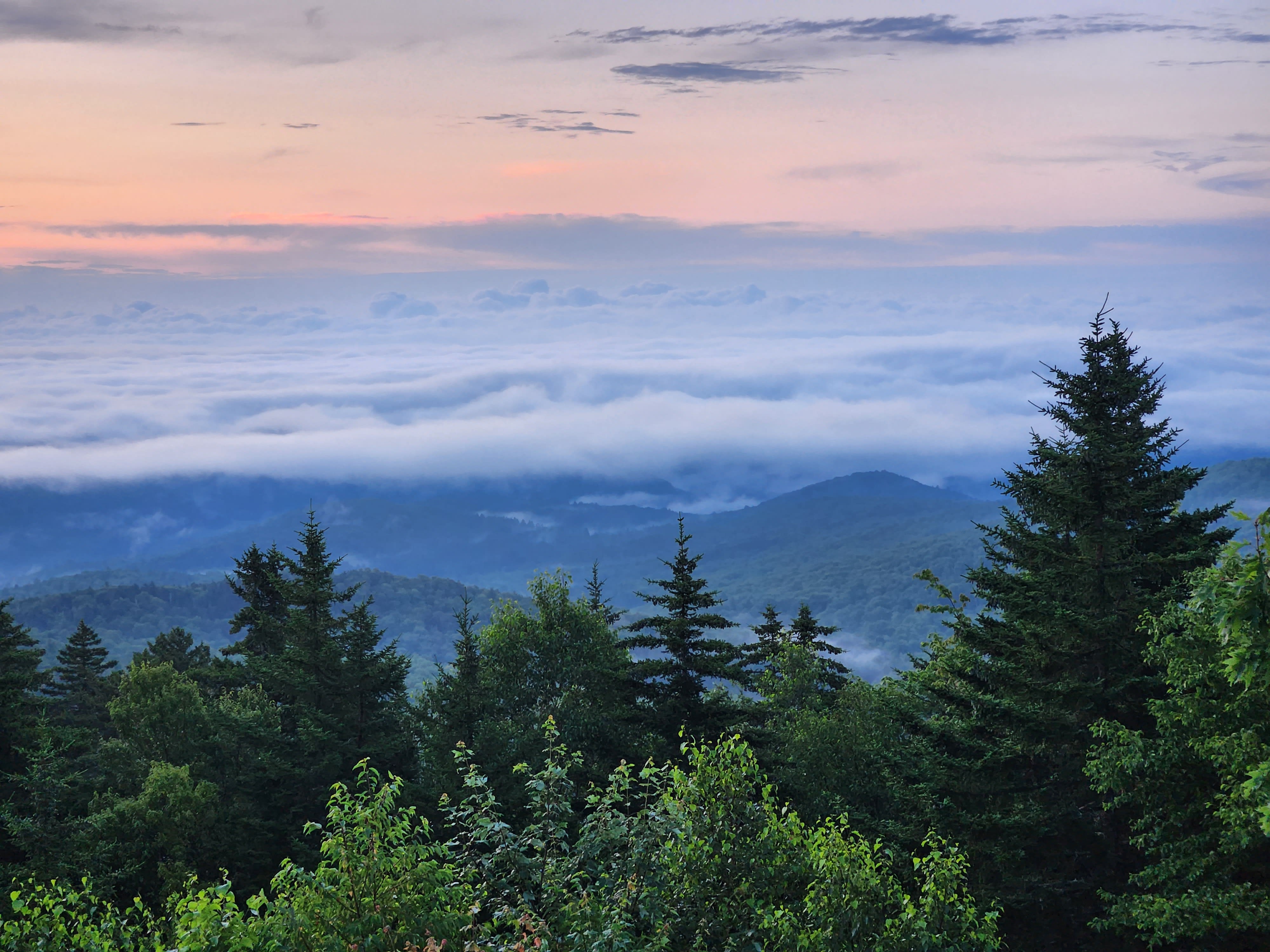 Sunset view across clouds over mountains and trees