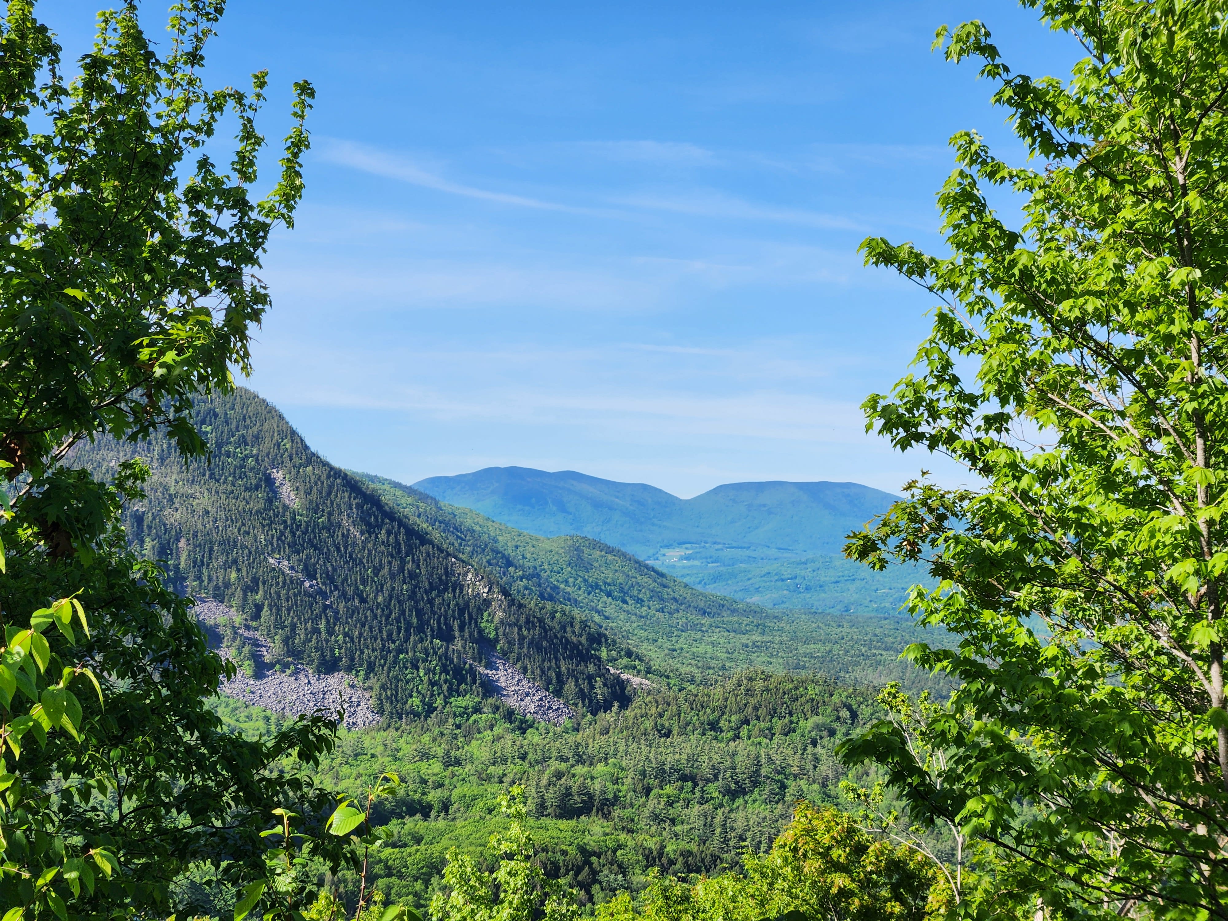 Summer mountain view