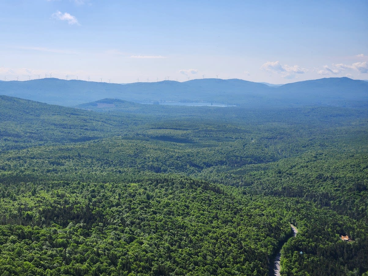 Open view of forest and mountains