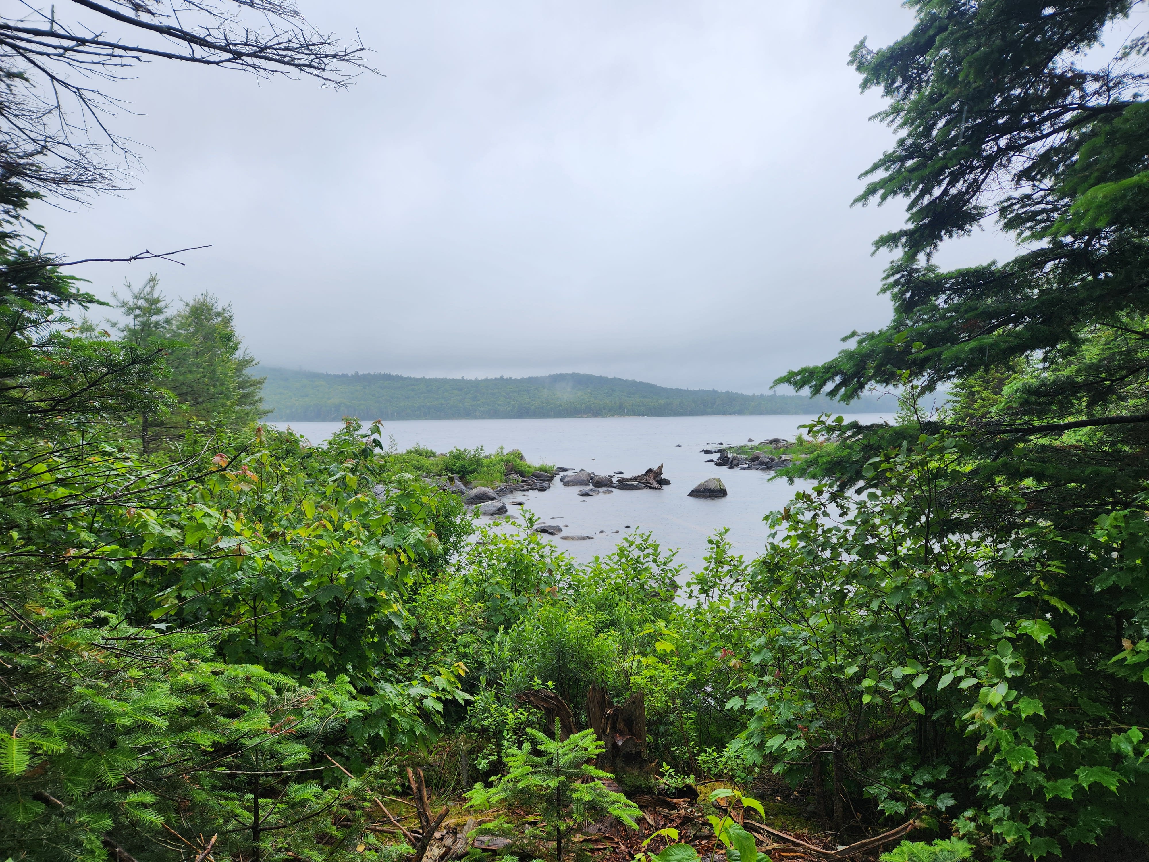 Foggy lake view