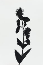 silhouette drawing of an abstract flower